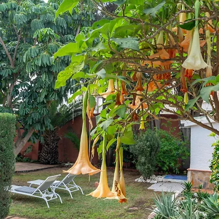 Gran Jardin Frente Al Mar Holiday home Rincon de la Victoria